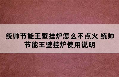 统帅节能王壁挂炉怎么不点火 统帅节能王壁挂炉使用说明